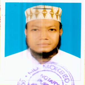 মোঃ আমির হামজা