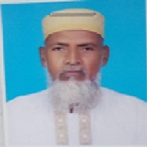 মোঃ আলী আলম