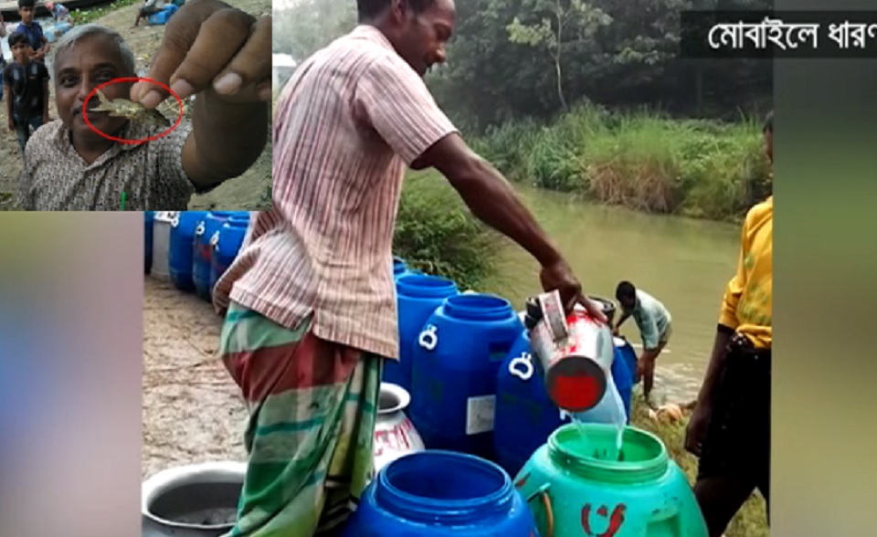প্রাণের দুধে জীবন্ত মাছ!