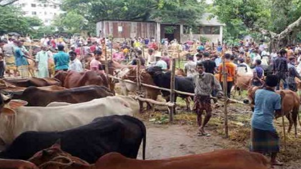 ব্রাহ্মণবাড়িয়ায় হাটে গরু রাখার জায়গা নিয়ে মারামারি, নিহত ১