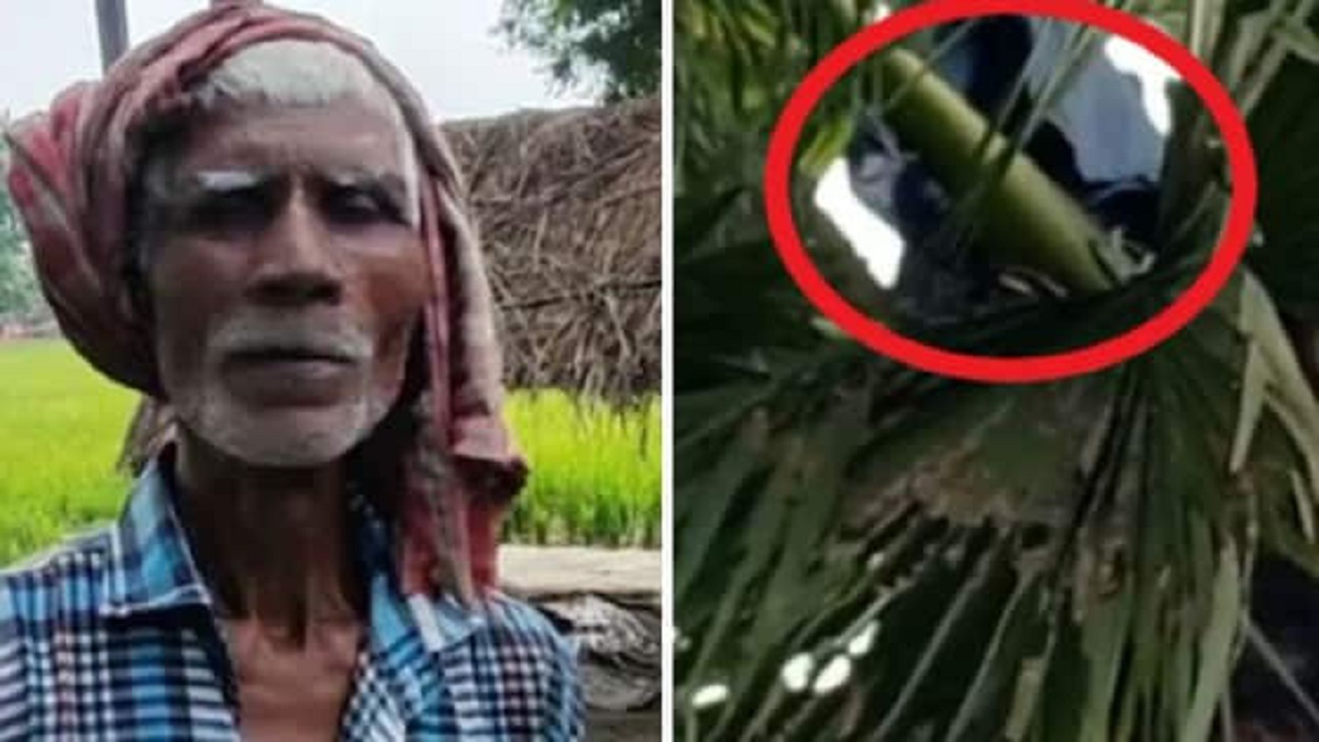 স্ত্রীর 'অত্যাচারে' বাড়ি ছেড়ে তালগাছে থাকেন উত্তরপ্রদেশের বৃদ্ধ