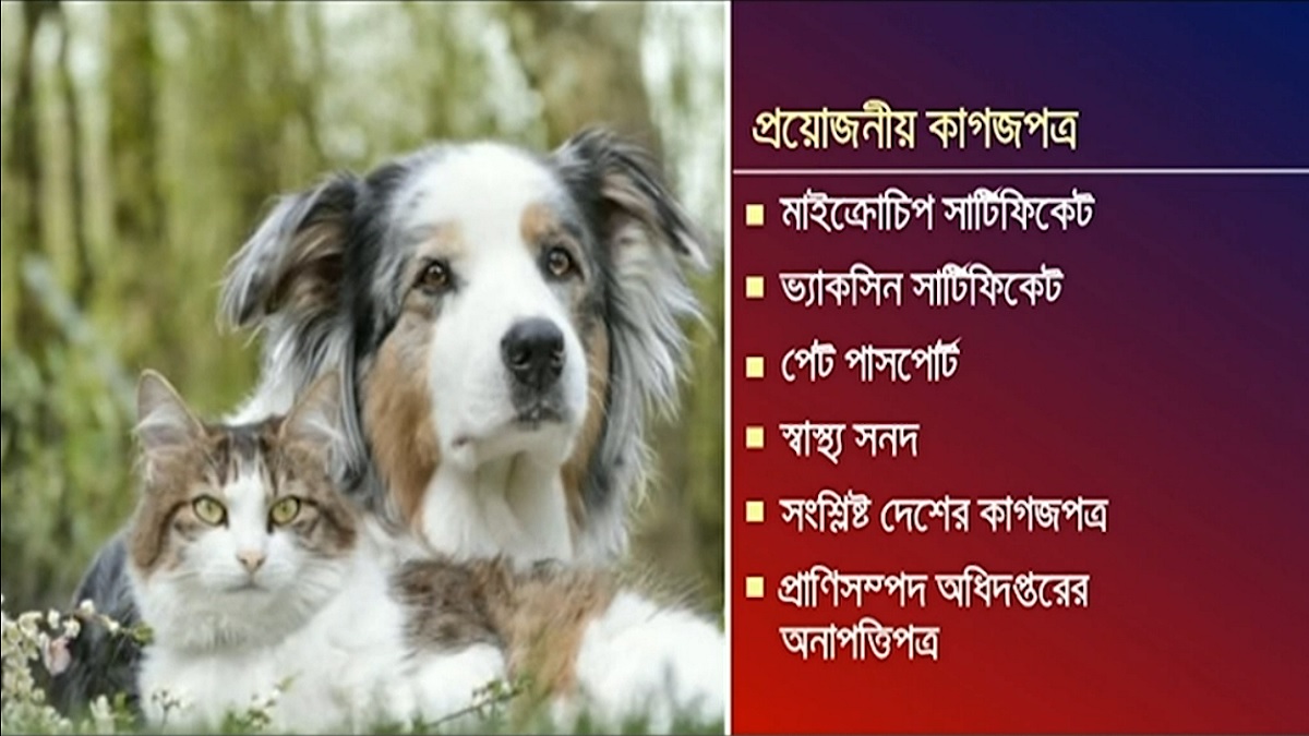 দেশ থেকে পোষা প্রাণীকে নিয়ে বিদেশ যাবেন? জেনে নিন প্রক্রিয়া