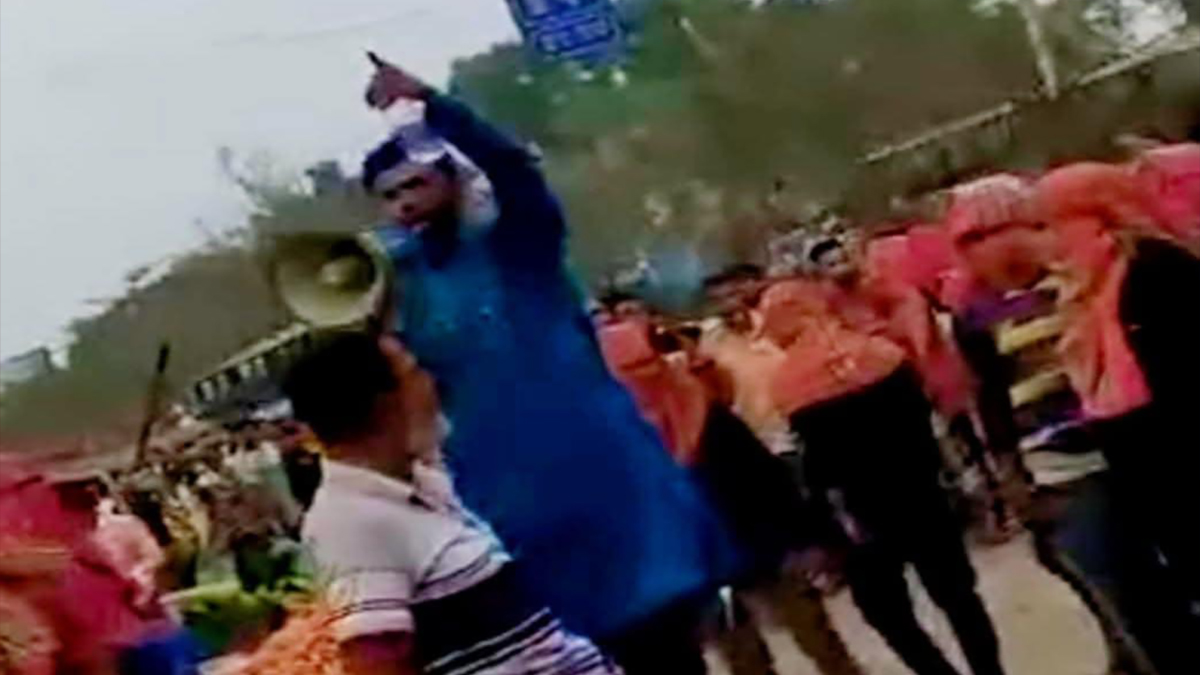 দেশীয় অস্ত্র নিয়ে হ্যান্ড মাইকে ঘোষণা দিয়ে চাঁদাবাজি, যুবদল নেতা বহিষ্কার