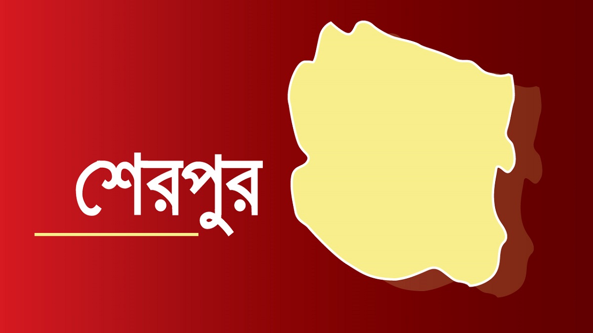 শেরপুরে আধিপত্য বিস্তারের জেরে ৩ বিএনপি নেতাকর্মীকে কুপিয়ে জখম