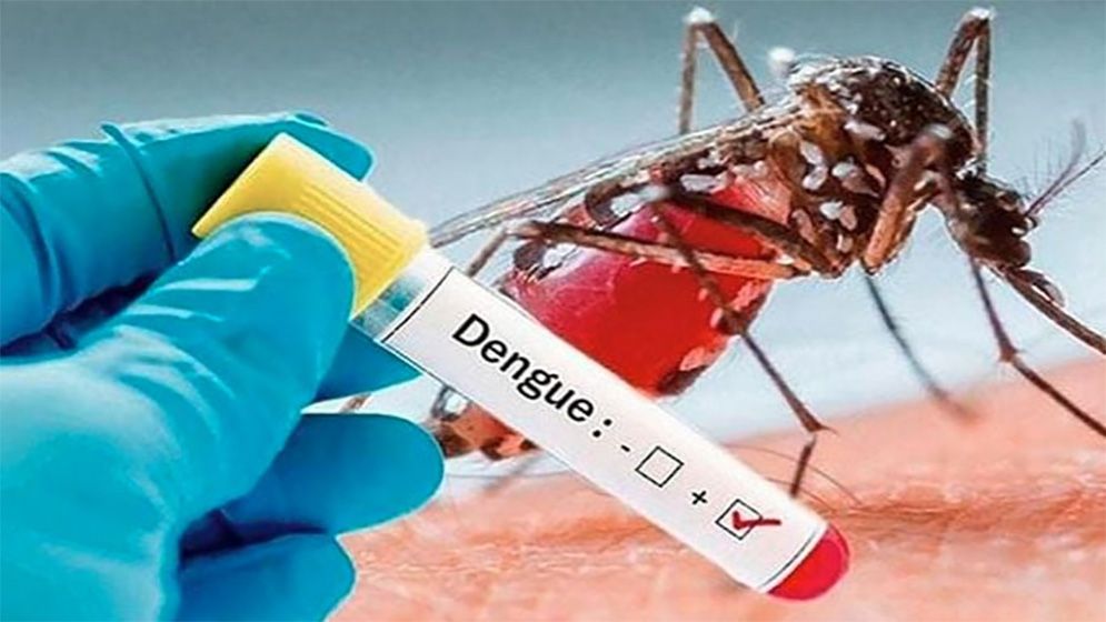 ২৪ ঘণ্টায় ডেঙ্গুতে ১০ জনের প্রাণহানি