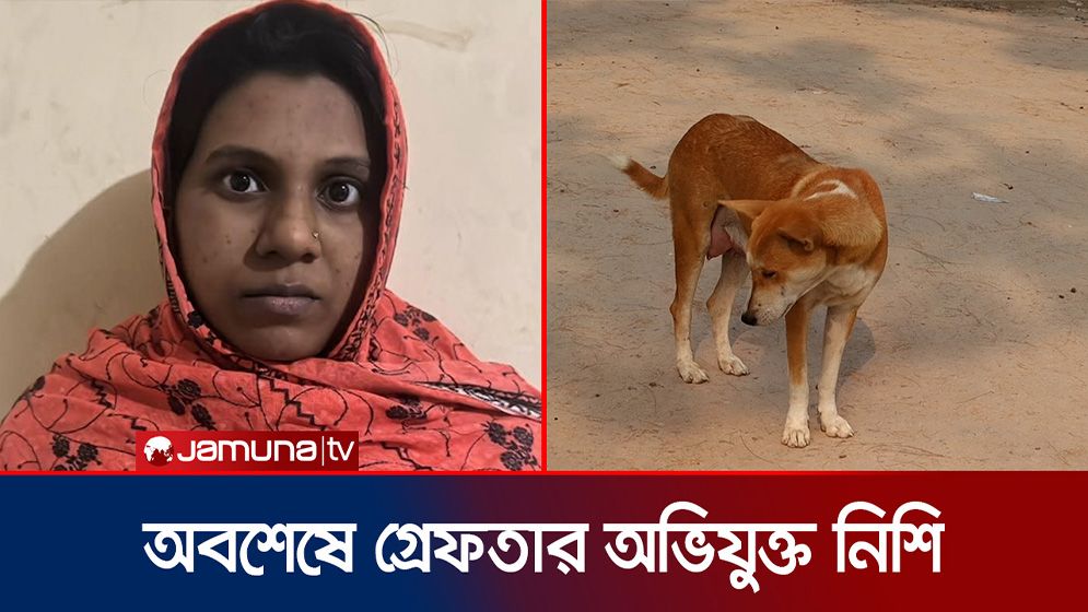 পাবনায় ৮ কুকুরছানা হত্যার ঘটনায় অভিযুক্ত নিশি রহমান গ্রেফতার