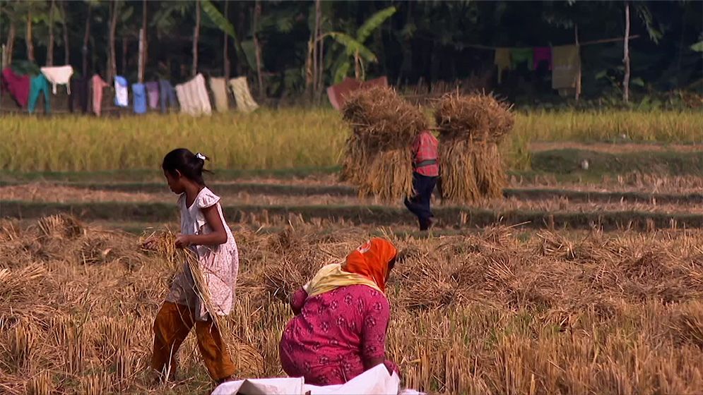 ছবিতে গ্রামের শীতের দৃশ্য