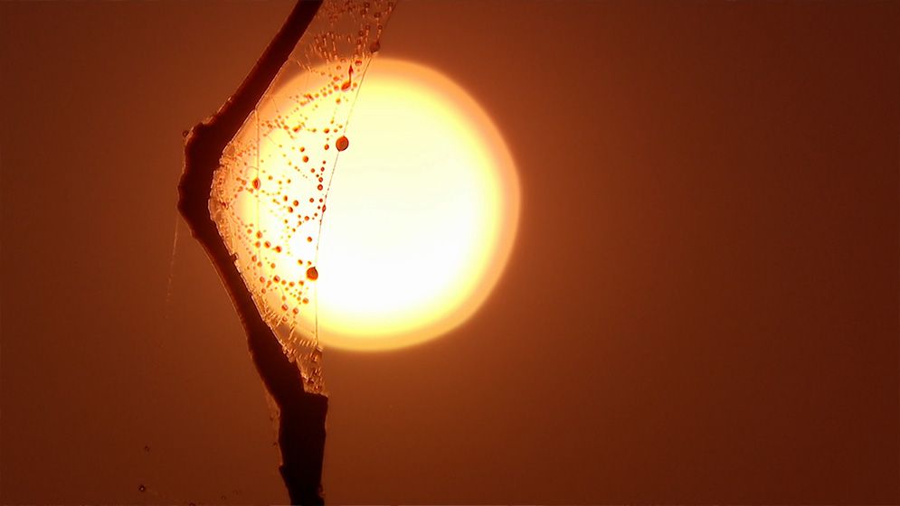 ছবিতে গ্রামের শীতের দৃশ্য