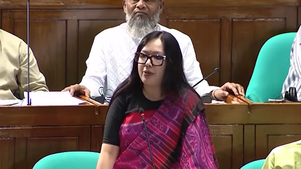 মনোনয়ন না দেওয়ার জন্য বিএনপিকে ধন্যবাদ: রুমিন ফারহানা