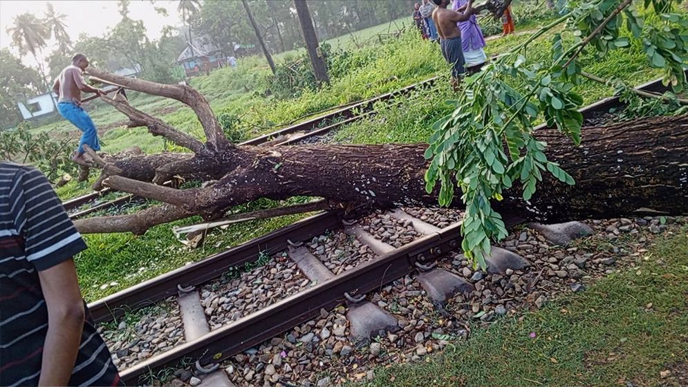 নোয়াখালীতে রেললাইনের ওপর গাছ উপড়ে পড়ে ট্রেন চলাচল বন্ধ