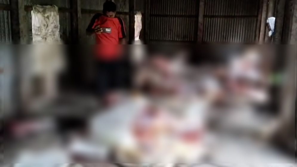 মুন্সীগঞ্জে পরিত্যক্ত বাড়িতে ১৩ ঘোড়া জবাই, জীবিত উদ্ধার এক