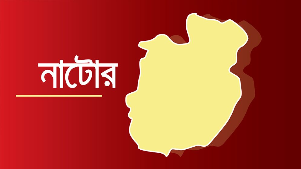 নাটোরে পেট্রোল পাম্পে সিরিয়াল নিয়ে সংঘর্ষ, আহত ২