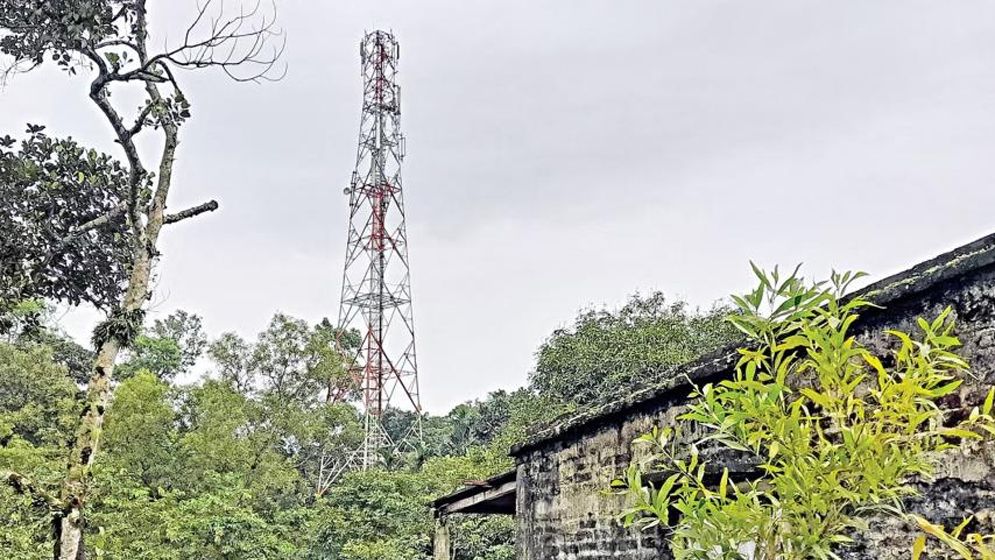 তীব্র জ্বালানি সংকট টেলিযোগাযোগ খাতে, নেটওয়ার্ক সচল রাখা যাচ্ছে না সর্বত্র