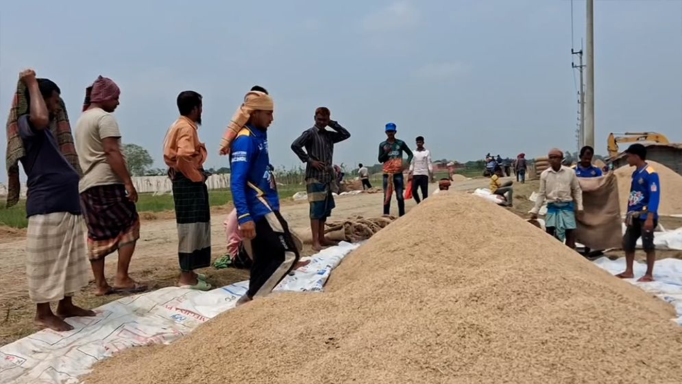 ৪০ কেজির মণ এখন ৪৫ কেজিতে, অসাধু ব্যাপারীদের খপ্পরে নেত্রকোনার কৃষকরা