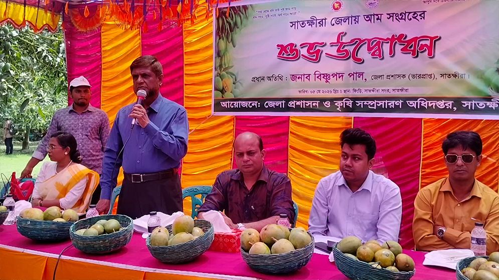 সাতক্ষীরায় আজ থেকে শুরু আম সংগ্রহ কার্যক্রম