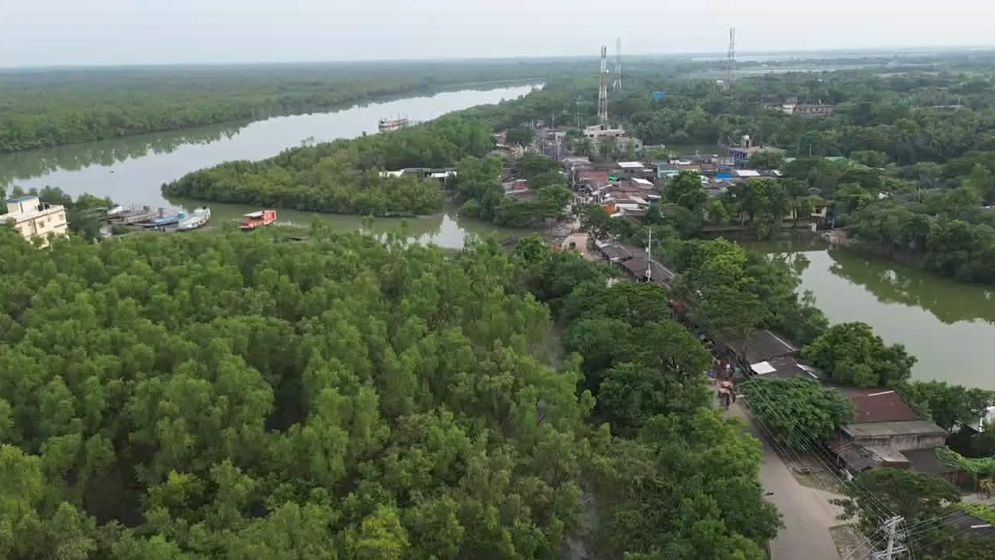 প্রজনন সুরক্ষায় ৩ মাসের জন্য বন্ধ হচ্ছে সুন্দরবন