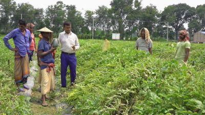 এক হাত হারিয়েও ঝিনাইদহের কৃষকদের আস্থার প্রতীক মফিজ উদ্দিন
