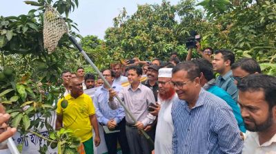 আনুষ্ঠানিকভাবে বাজারজাত শুরু হাঁড়িভাঙ্গার
