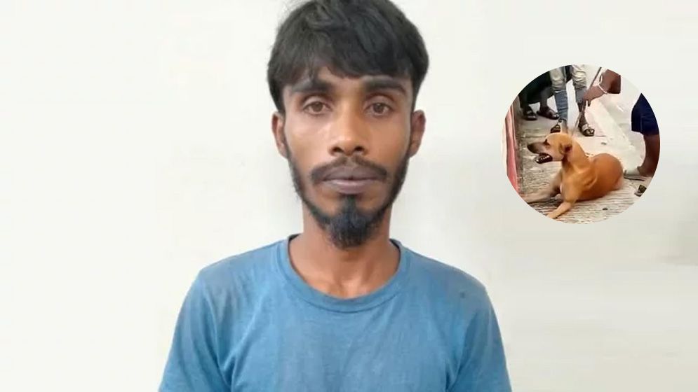 নরসিংদীতে কুকুরের গলায় ইট বেঁধে নদীতে ফেলার ঘটনায় আটক তরুণ