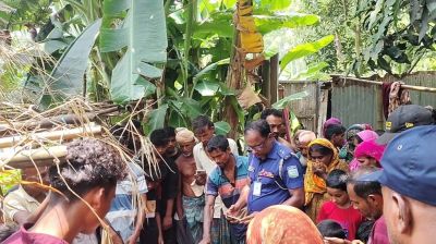 জামালপুরে বন্য হাতির আক্রমণে শ্রমিকের মৃত্যু