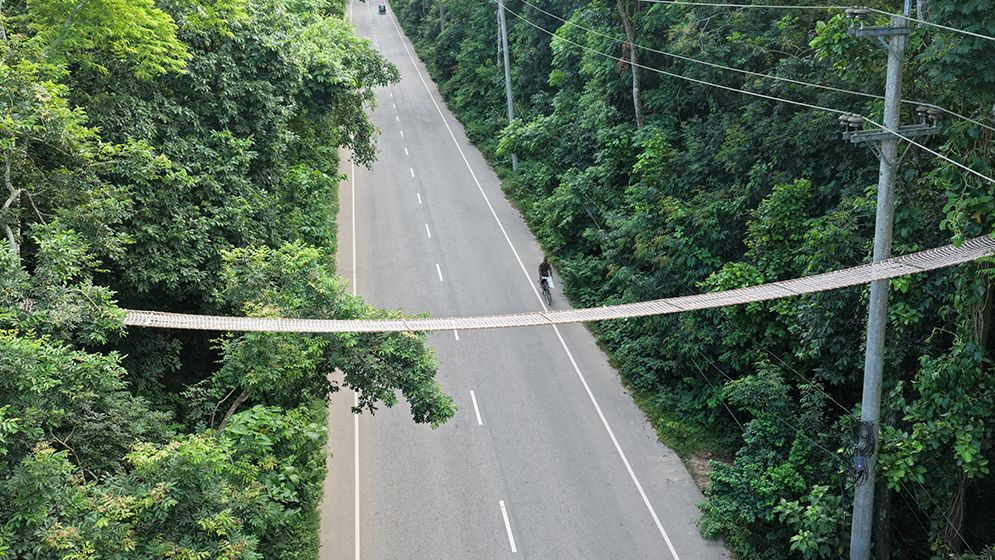 টাঙ্গাইলে মধুপুর বনাঞ্চলে প্রাণীদের নিরাপদ চলাচলে ৫ রোপওয়ে