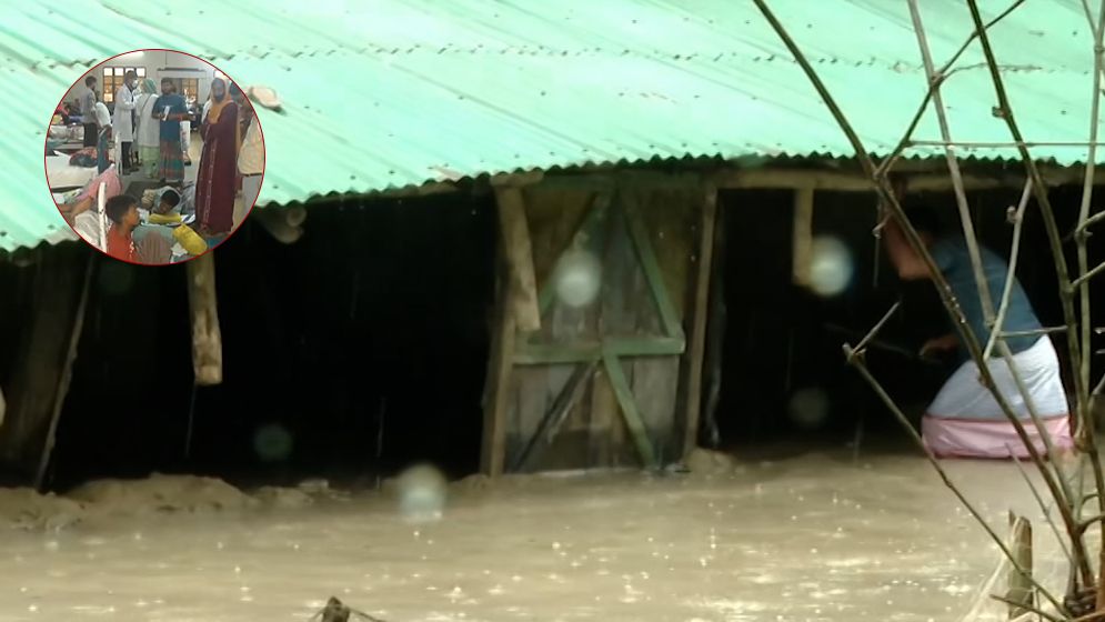 বন্যায় সাপের উপদ্রব বাড়ছে, চট্টগ্রামে ৭ দিনে কামড়ের শিকার ৯৩ জন