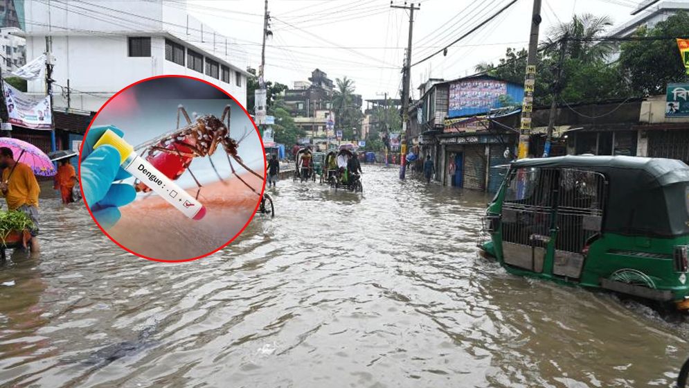 বৃষ্টি-জলাবদ্ধতার পর চট্টগ্রামে ডেঙ্গুর থাবা, সংক্রমণে ঊর্ধ্বগতি