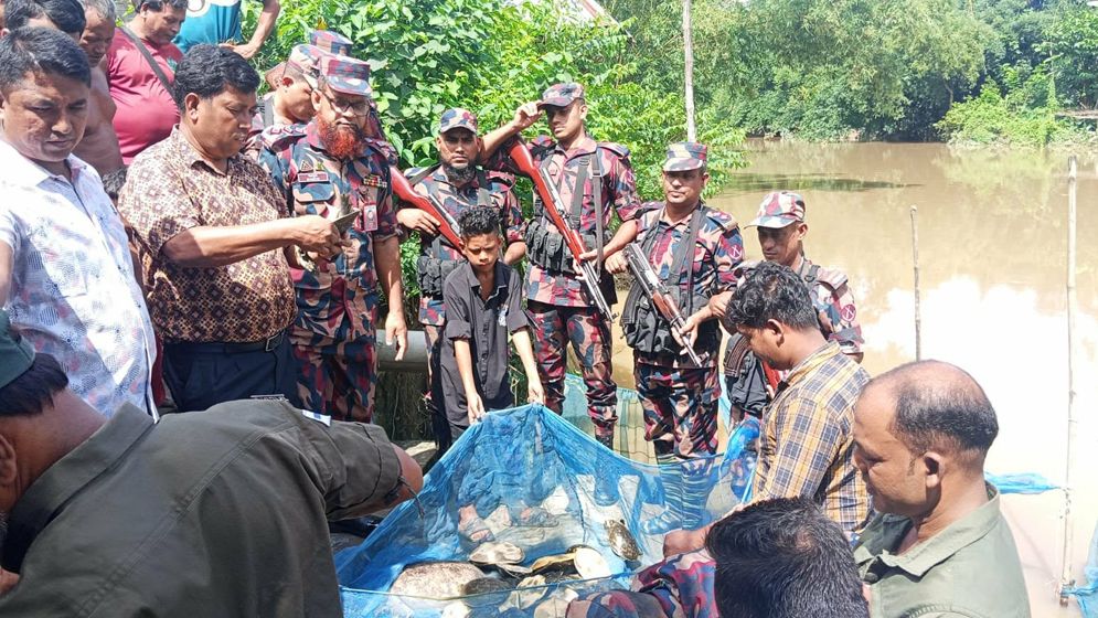 কসবা সীমান্তে ৬৫টি কচ্ছপ উদ্ধার, সালদানদীতে অবমুক্ত