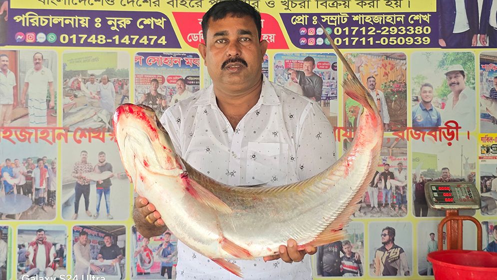 দৌলতদিয়ায় সাড়ে ১০ কেজির ঢাই মাছ ৫৮ হাজার টাকায় বিক্রি
