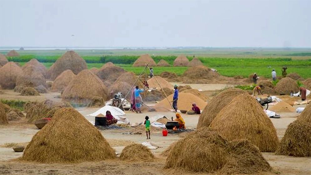 খাদ্য উৎপাদনে 'বড় ঝুঁকি'র মুখে বাংলাদেশ: ডব্লিউএফপি