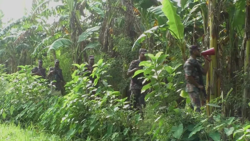 চুয়াডাঙ্গা সীমান্তে ফের পুশইন চেষ্টা, বিজিবির বাধায় পণ্ড