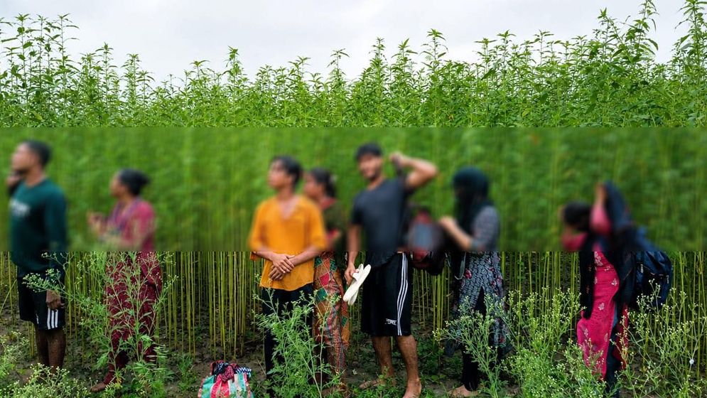কুষ্টিয়া সীমান্তে ৮ জনকে পুশইন চেষ্টা রুখে দিলো বিজিবি