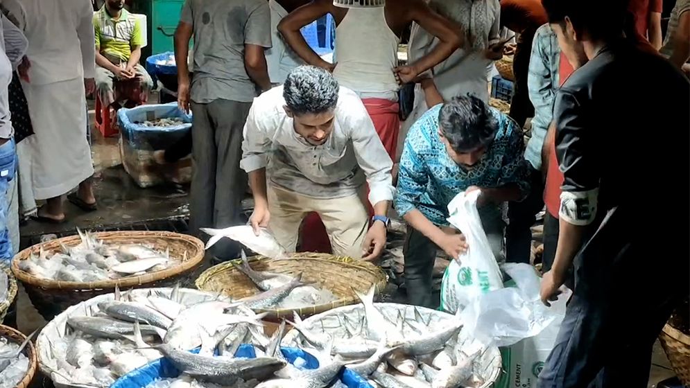 চাঁদপুরে ভরা মৌসুমেও মিলছে না কাঙ্ক্ষিত ইলিশ