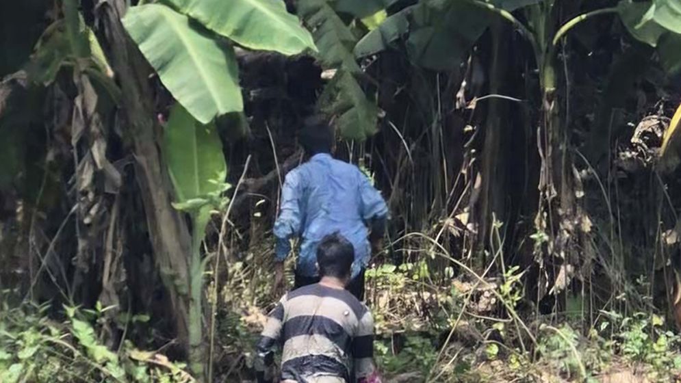 ঝিনাইদহ সীমান্তে আবারও বিএসএফের পুশইন চেষ্টা রুখে দিলো বিজিবি