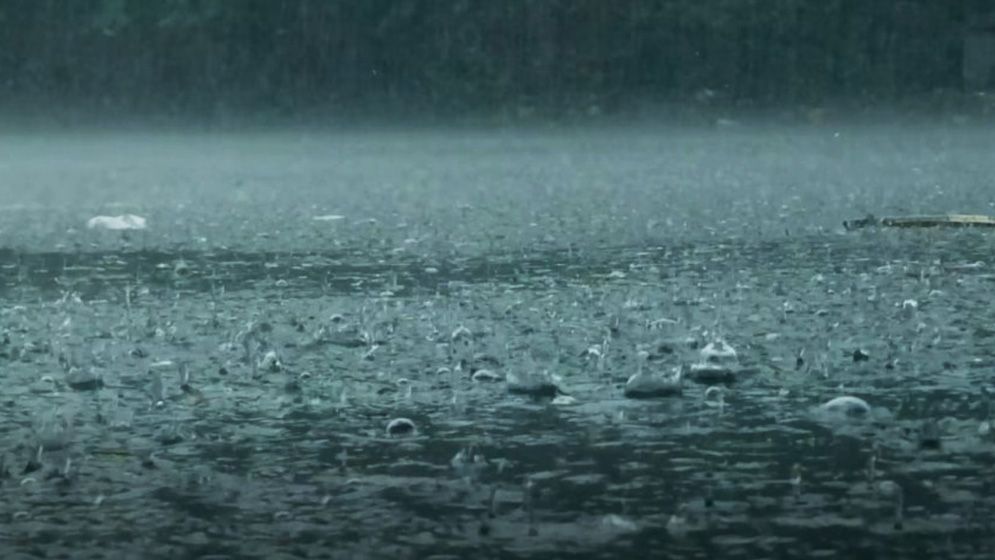 বৃষ্টি নিয়ে ৫ দিনের পূর্বাভাসে যা জানাল আবহাওয়া অফিস