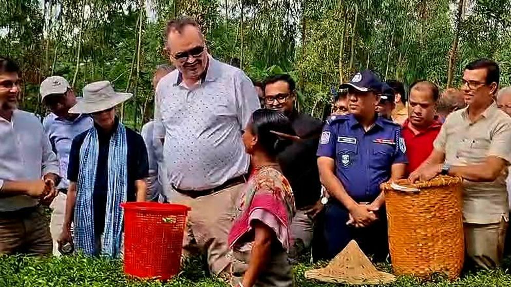 আমরা বাংলাদেশের উন্নয়নে কাজ করতে চাই