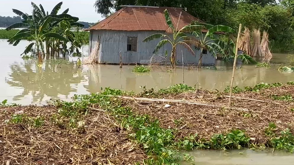 কুষ্টিয়ার দৌলতপুরে উজানের ঢলে পদ্মার পানি বৃদ্ধি অব্যাহত