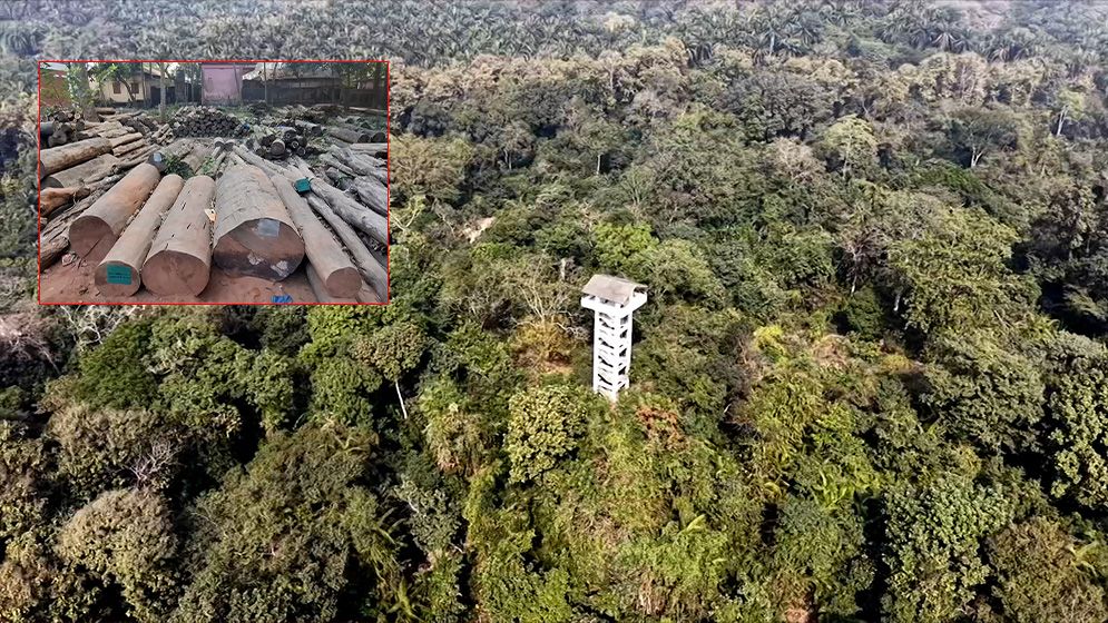 দুর্বৃত্তদের চোখ সাতছড়ি ও রেমা-কালেঙ্গায়, সাবাড় হচ্ছে বনাঞ্চল