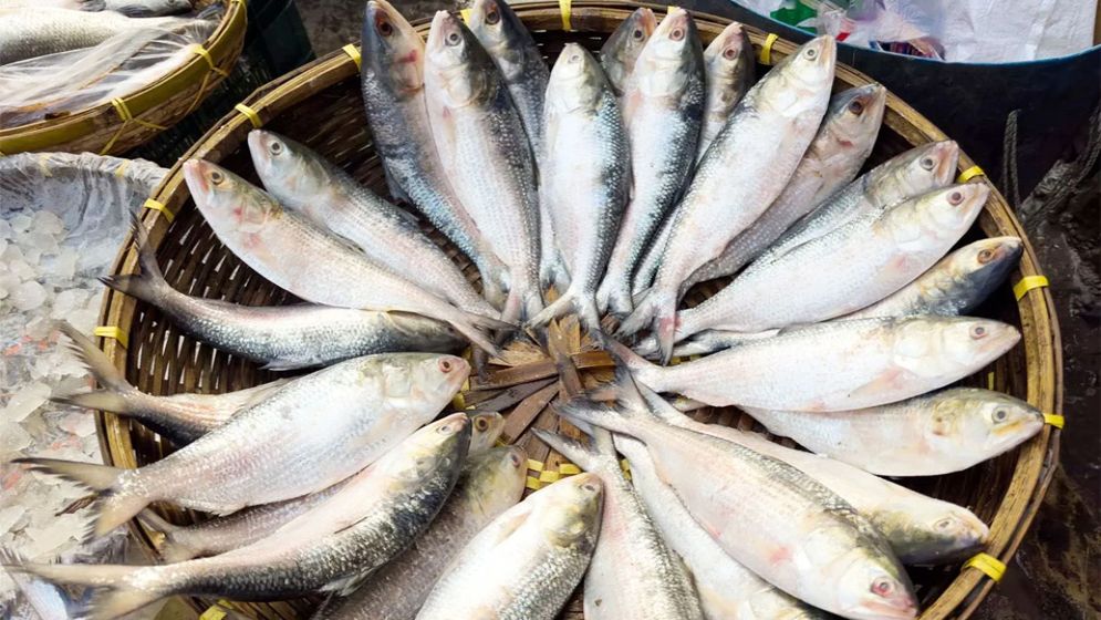 প্রথমবারের মতো বাংলাদেশে ইলিশ রফতানি করল ভারত, দুই মাসে এল ৫০০ টন
