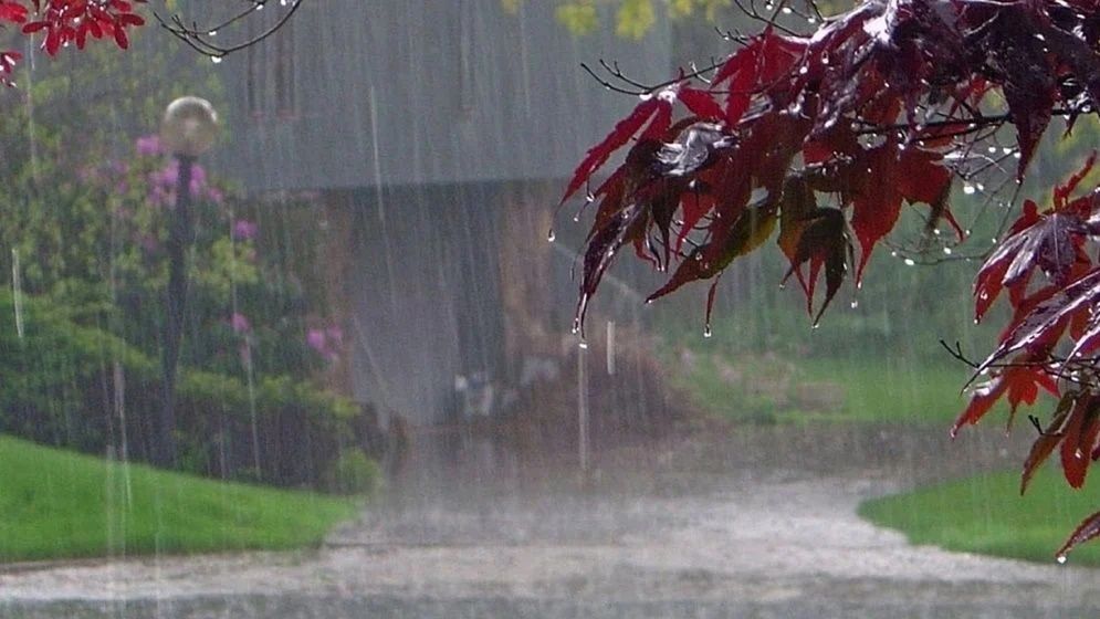 ২৪ ঘণ্টায় দেশের ৮ বিভাগে বৃষ্টির পূর্বাভাস