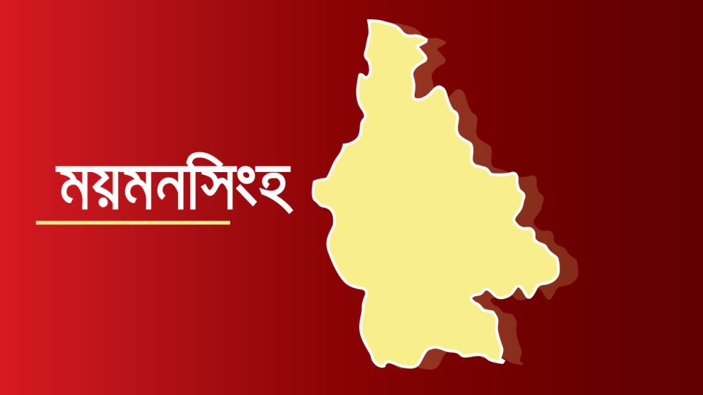 ময়মনসিংহে সড়ক দুর্ঘটনায় নিহত ২, আহত ৬