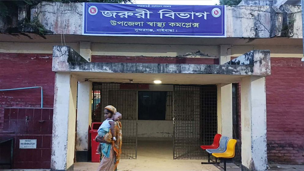 গাইবান্ধায় লোকালয়ে শিয়ালের হানা, নারী-শিশুসহ আহত ৯
