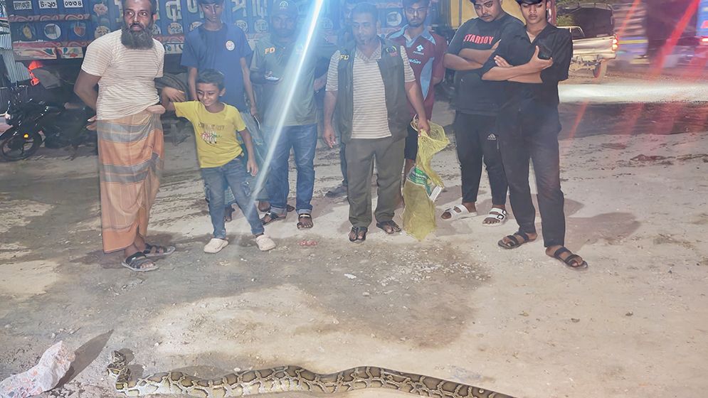 গাজীপুরে ৯ ফুট লম্বা অজগর সাপ উদ্ধার
