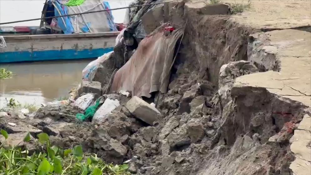 শরীয়তপুরে পদ্মার ভয়াবহ ভাঙনে তীর রক্ষা বাঁধের ৫০ মিটার নদীগর্ভে বিলীন