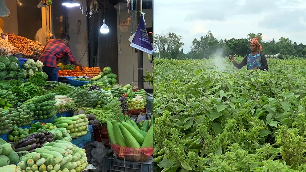 উৎপাদন থেকে ভোক্তার প্লেট; আমাদের ফসল কতটা নিরাপদ?