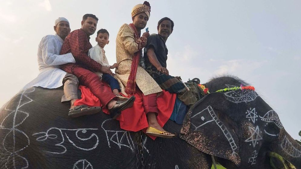 গাইবান্ধায় মা-বাবার শখ পূরণে 'হাতির পিঠে বর'