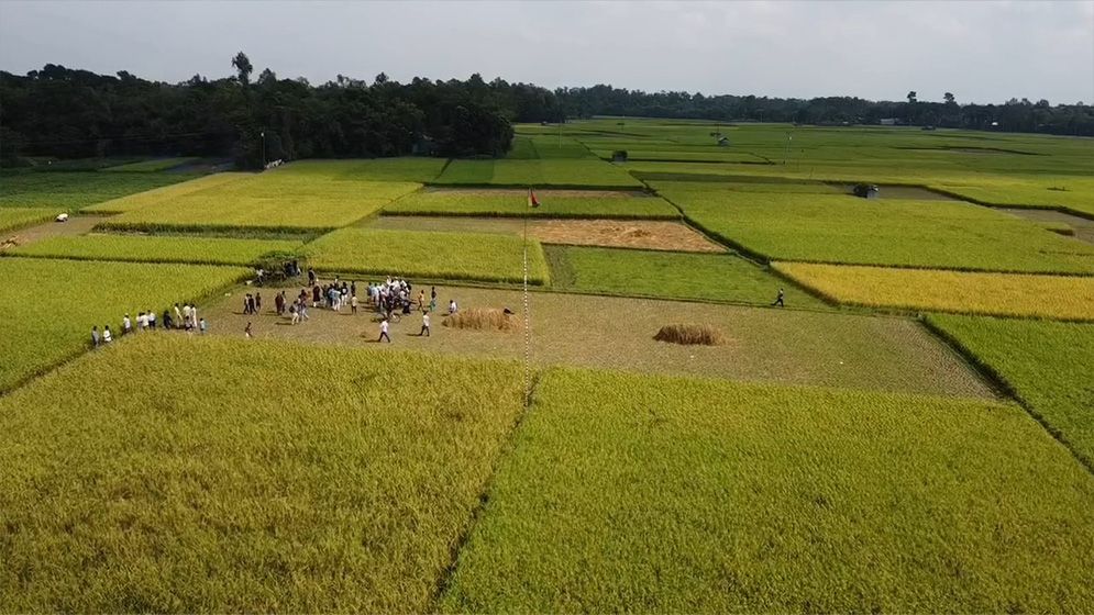 টাঙ্গাইলে গ্রামবাসীর চাঁদায় কেনা হলো খেলার মাঠের জমি, পূর্ণাঙ্গ মাঠের অপেক্ষায়